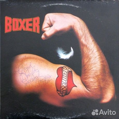 Boxer - Absolutely (LP, Used)