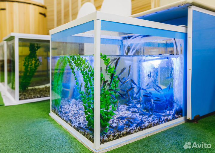 Услуги спа в банном комплексе с бассейном