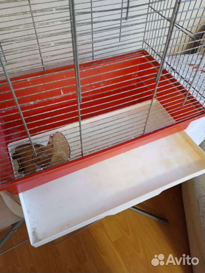 Клетка для птиц