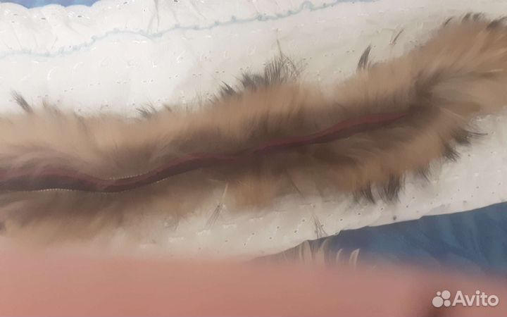 Опушка на капюшон из енота