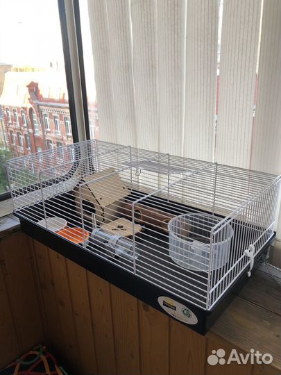 Клетка для джунгарского хомяка