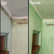 Удаление Плесени Грибка Вирусов С Гарантией, Днепр