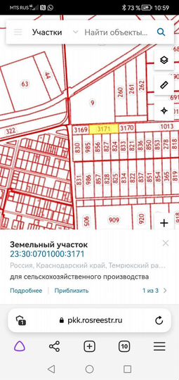 Участок 87 сот. (СНТ, ДНП)
