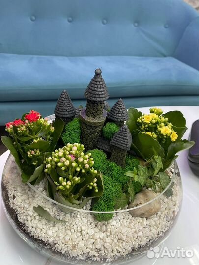 Флорариум В каждый дом