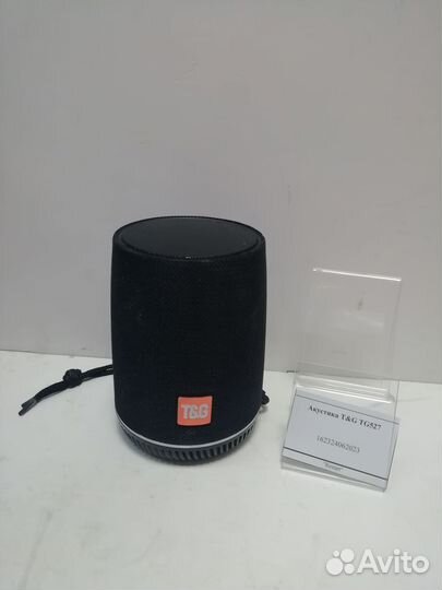Акустика T&G TG527
