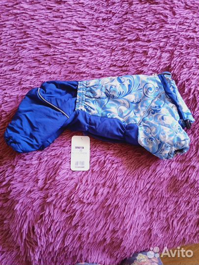 Комбинезон для маленькой собаки кобель