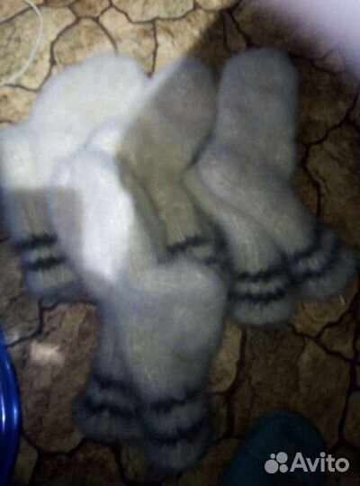 Собачьи носки