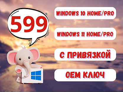 Ключ Windows 10 / 11 Pro / Home / С привязкой