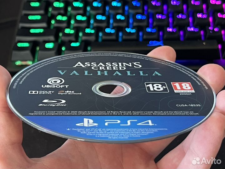 Assassins creed valhalla ps4