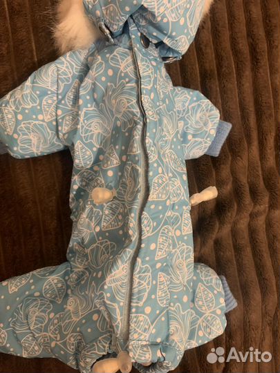 Комбинезон для маленькой собаки