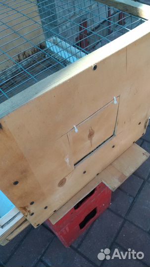 Клетки для перепелов бу