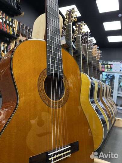Yamaha CG142C классическая гитара массив (Новая)