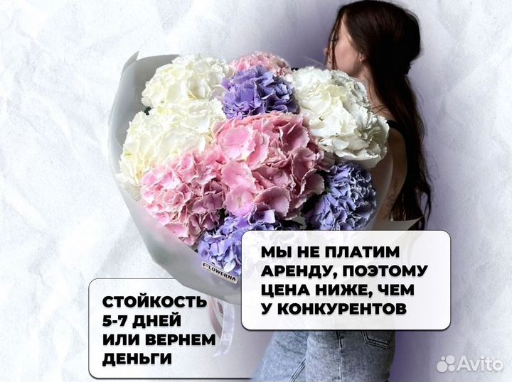 Гортензии с доставкой по Краснодару