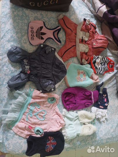 Одежда для мини собаки