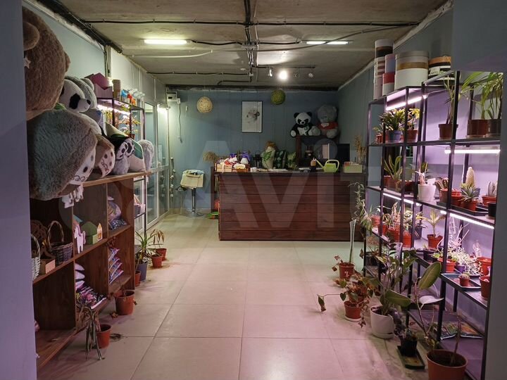 Торговое помещение, 71 м²