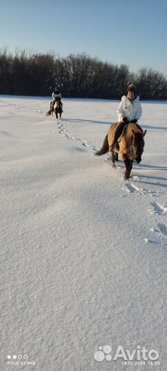 Катание на лошадях - Выезд в Поле