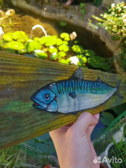 Дрифтвуд коряга