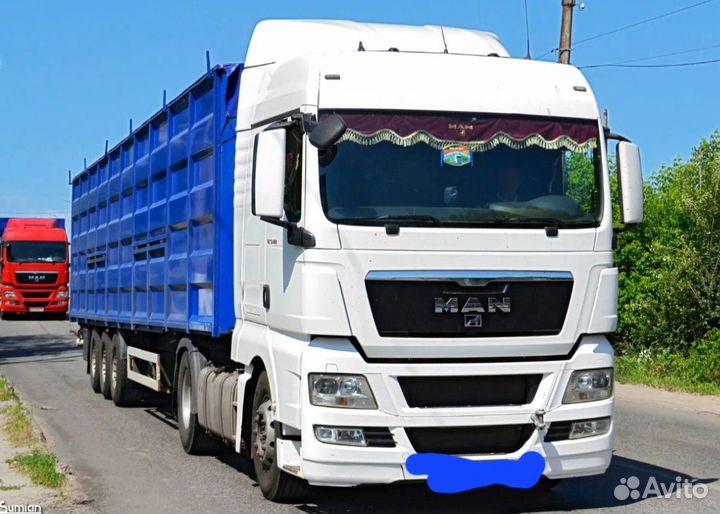 Транспортные услуги зерновозов