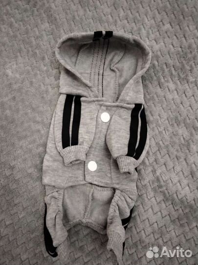 Костюм для собак, щенков мелких пород