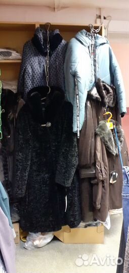 Женская одежда