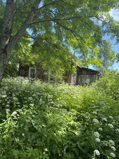 Дом 42,9 м² на участке 26 сот.