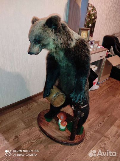 Чучела животных