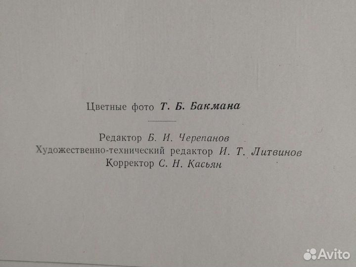 Альбом. Фото. 1962 год
