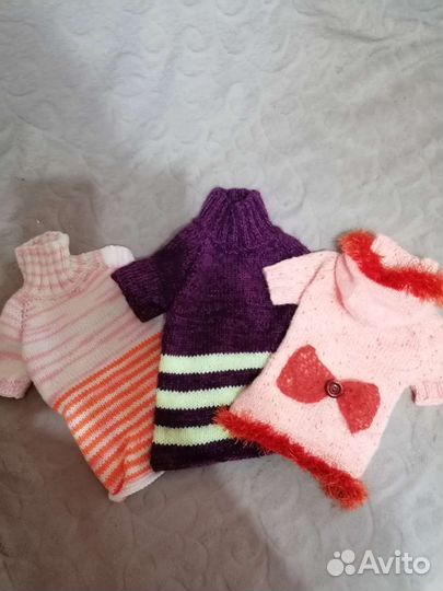 Одежда для маленьких собак