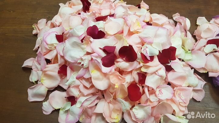 Лепестки роз