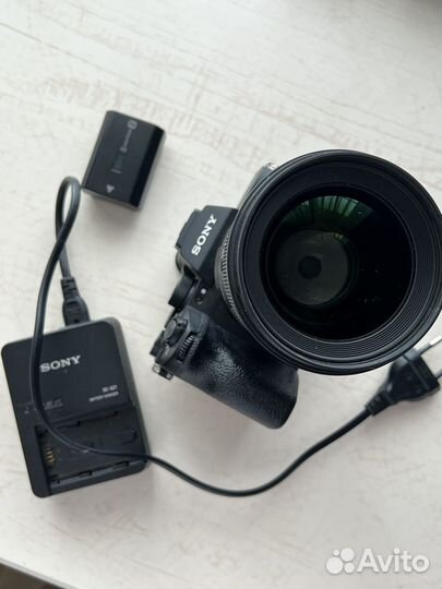 Sony a7 siii (3) и обьектив sigma 50mm 1:1.4