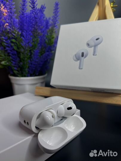 AirPods Pro 2 (Партия Осень 2023) Гарантия + Чехол