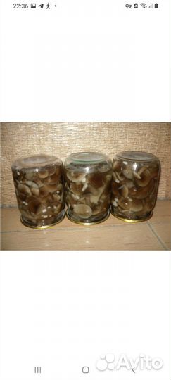 Маринованные опята