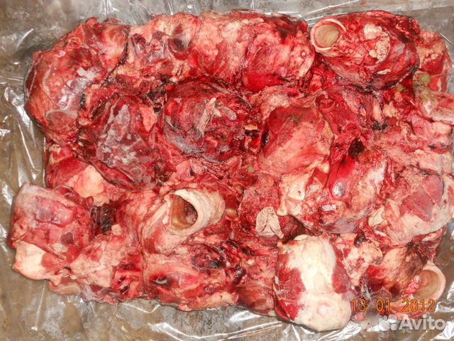 Обрезь, рубец, фарш (говядина) для собак