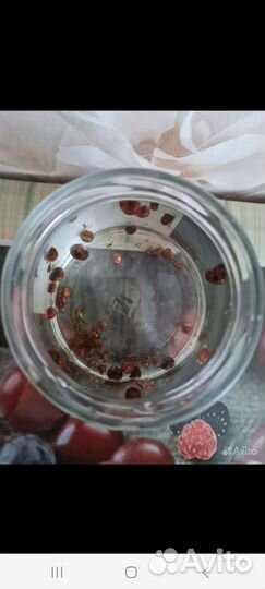 Аквариумная прополка, рыбки, улитки