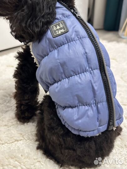 Жилетки для маленьких собак