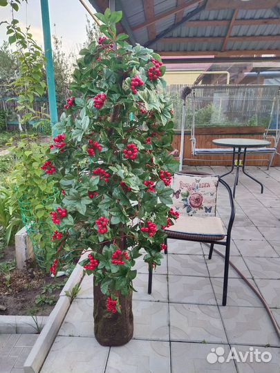 Боярышник (искусственное дерево)