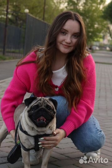 Груминг собак и кошек