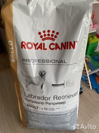 Royal canin best sale labrador 15kg