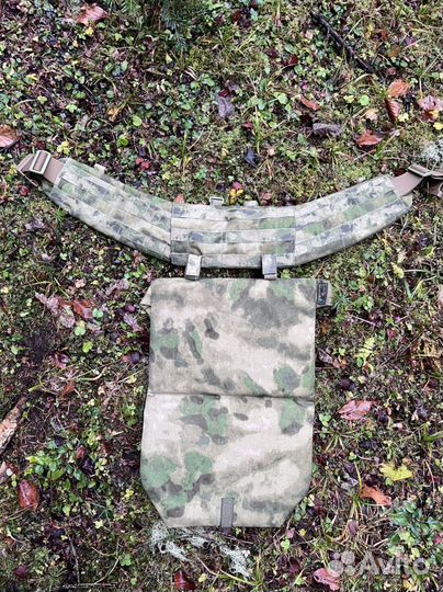 Пятиточичник штурмовой