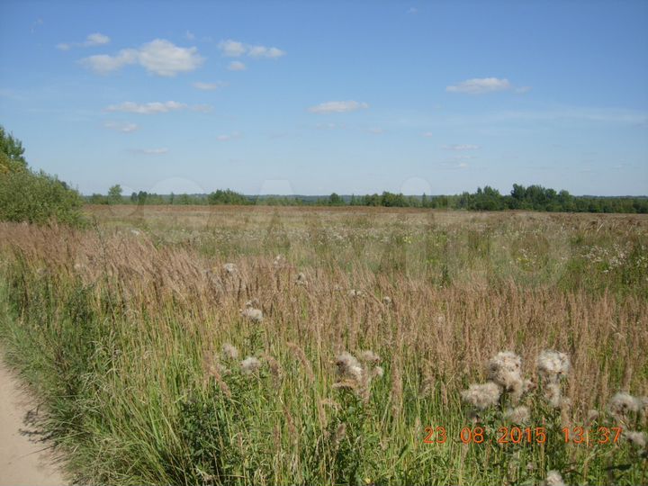 Участок 50 га (СНТ, ДНП)