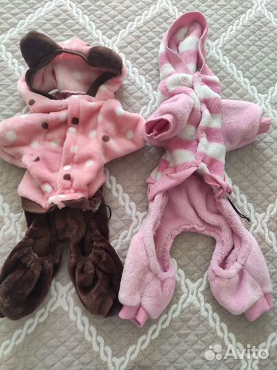 Одежда для той терьера