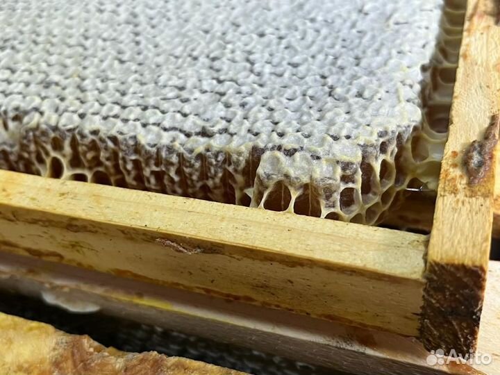 Сотовый мед оптом