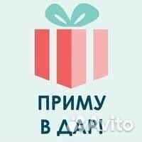 Цветы для озеленения пространства