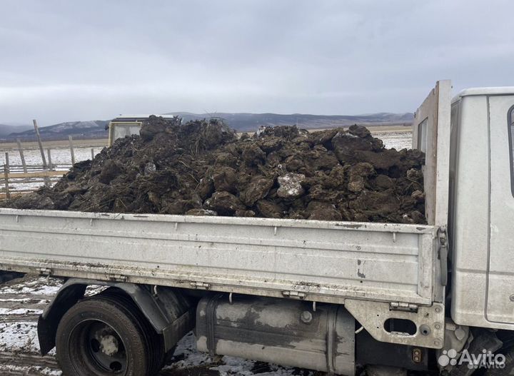 Навоз перегной