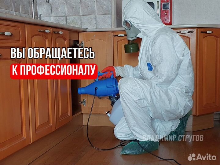 Уничтожение тараканов, клопов, плесени/Дезинфекция