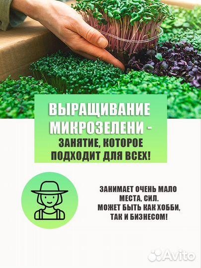 Набор для выращивания микрозелени(семена)