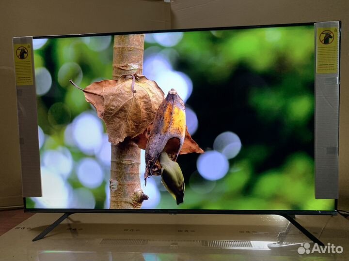 Фантастический qled телевизор 55(лучше Samsung)