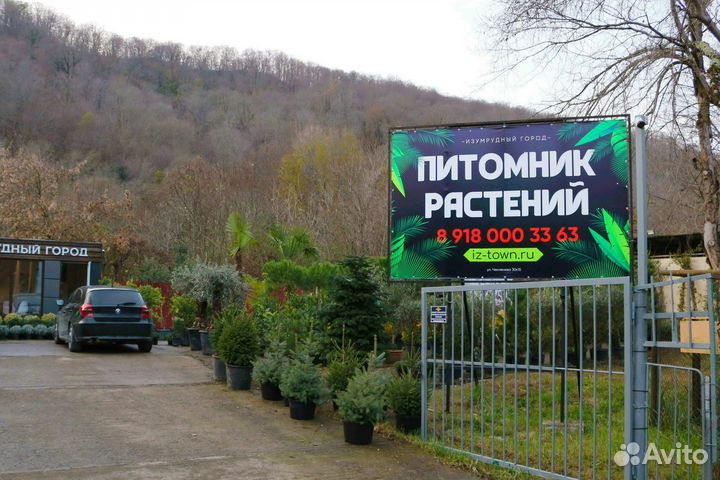 Торф Peterpeat - Питэр Пит. В наличии