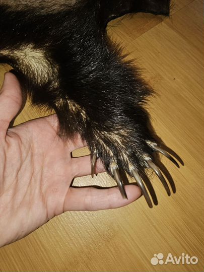 Ковёр из Барсука