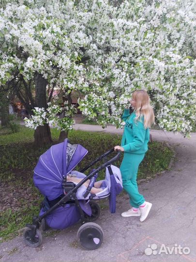 Коляска zippy 2 в 1